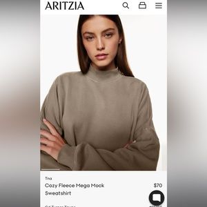 Aritzia mock sweatshirt